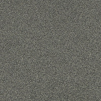 Ковровая плитка Interface Polichrome Stipple 4265005 Moonrock фото 1 | FLOORDEALER